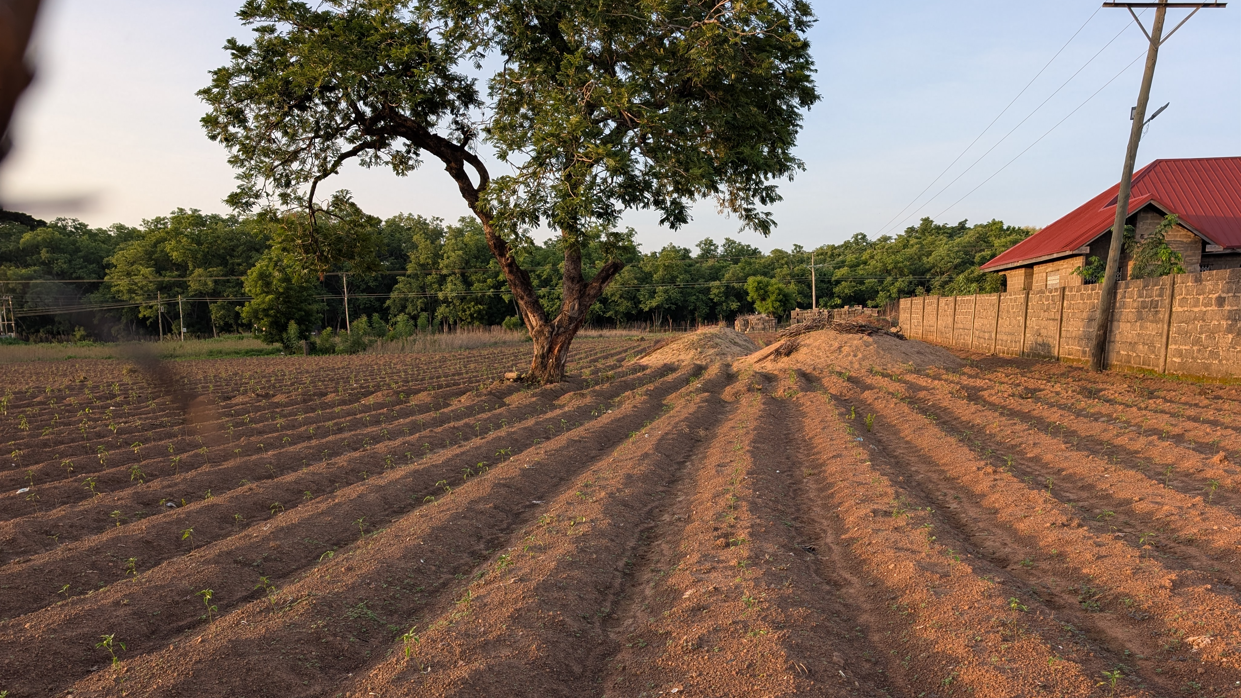 Socioeconomics as a Key Driver of Project Durability: Experiences from a Site Visit in Ghana